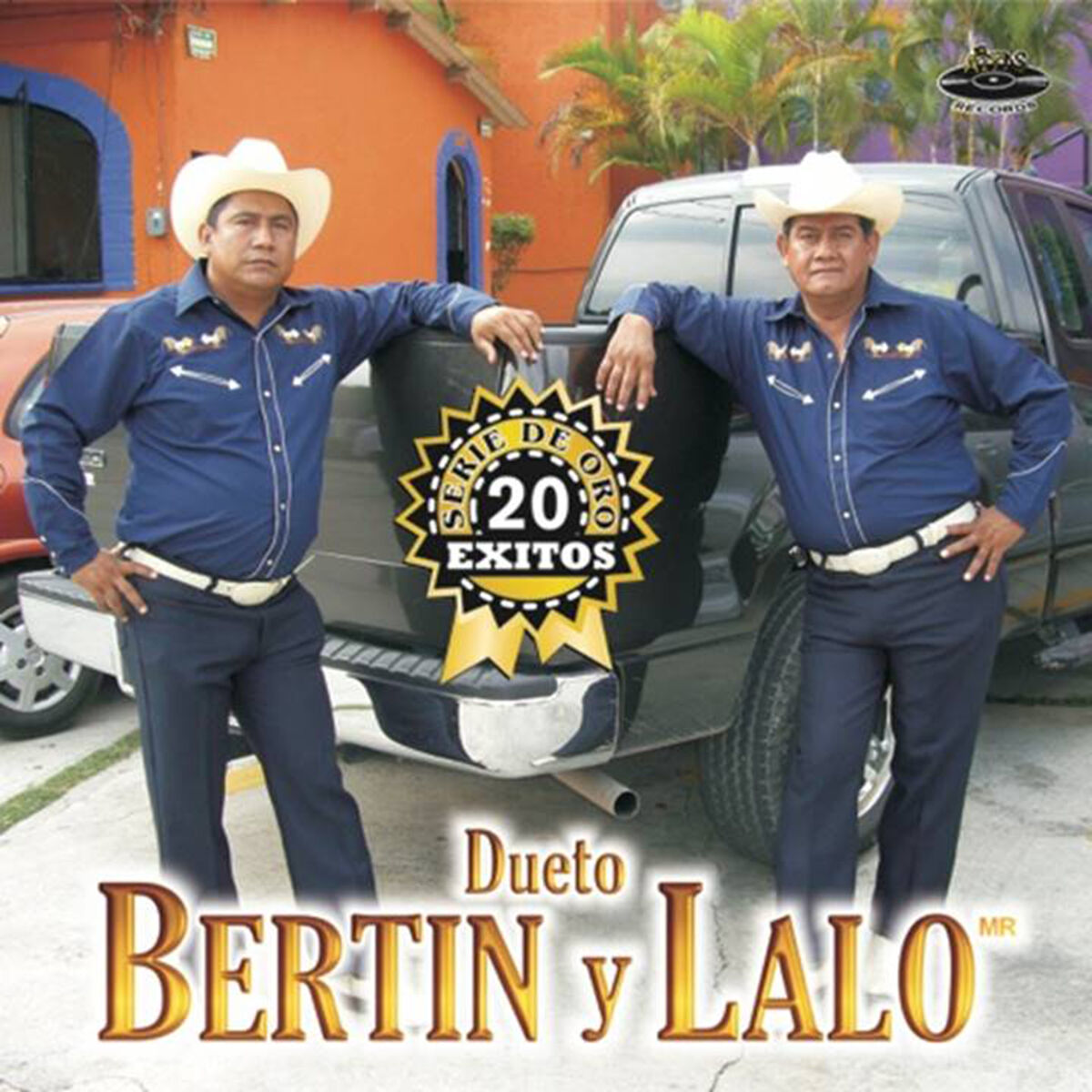 Album cover of Serie de Oro 20 Éxitos
