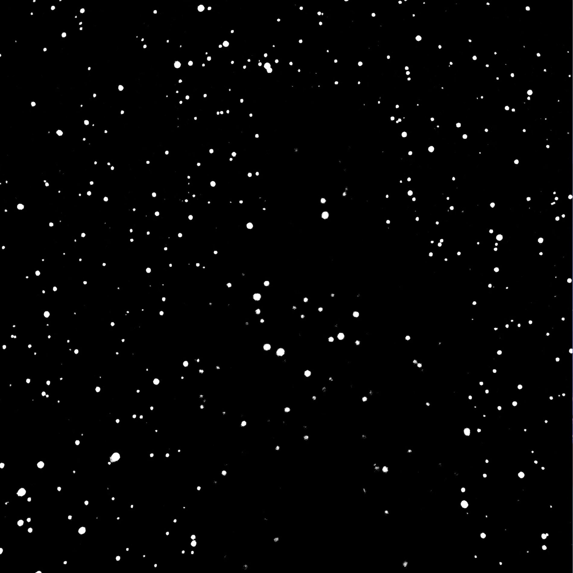 Album cover of Sur Terre