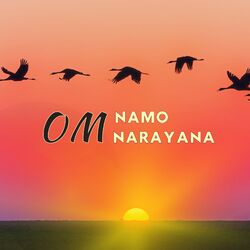 Cover of Om Namo Narayana