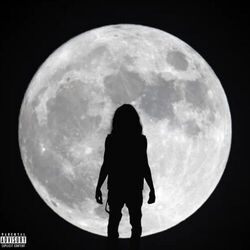 Cover of Moon