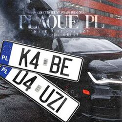Cover of Plaque PL