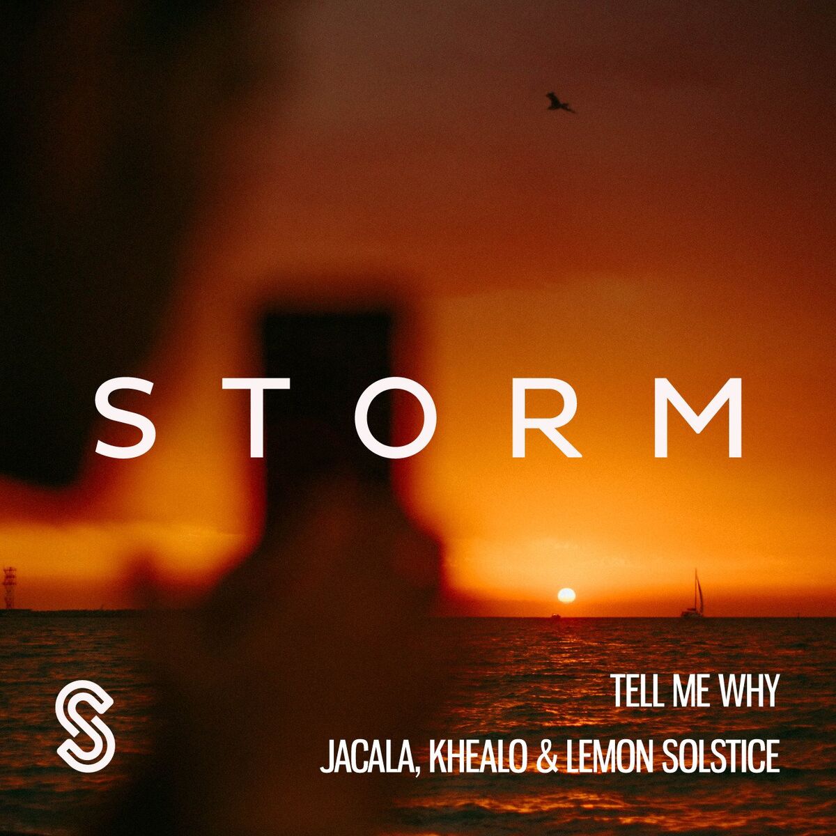 Album cover of Tell Me Why