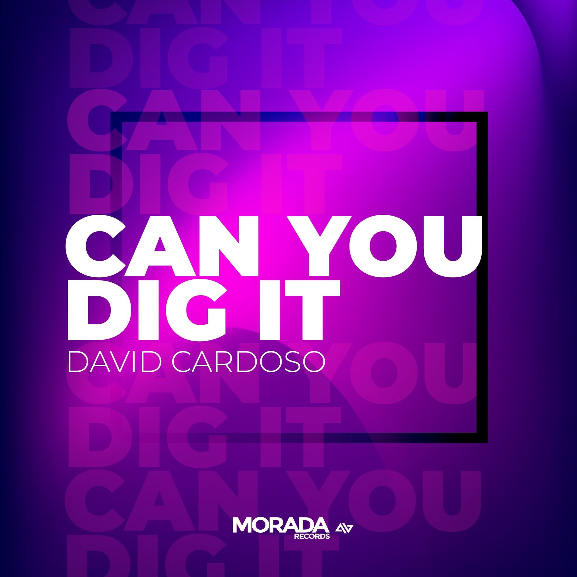 Album cover of Can You Dig It