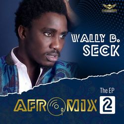 Cover of Afromix 2