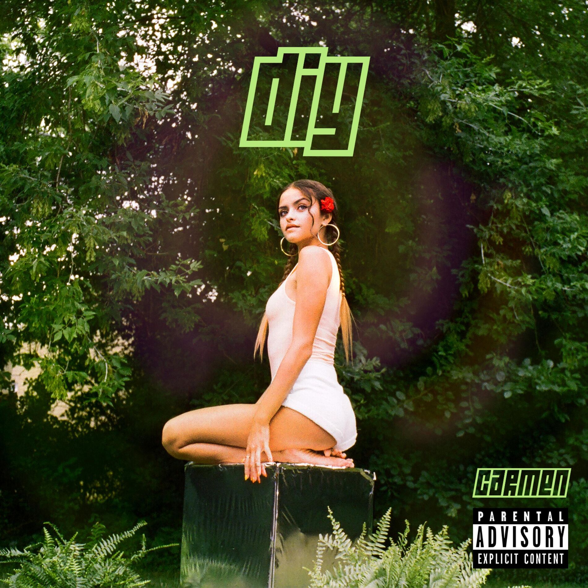 Album cover of Lite That
