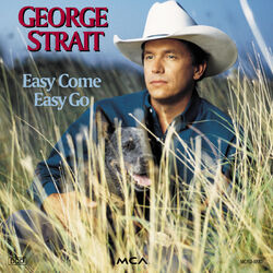 Cover of Easy Come Easy Go