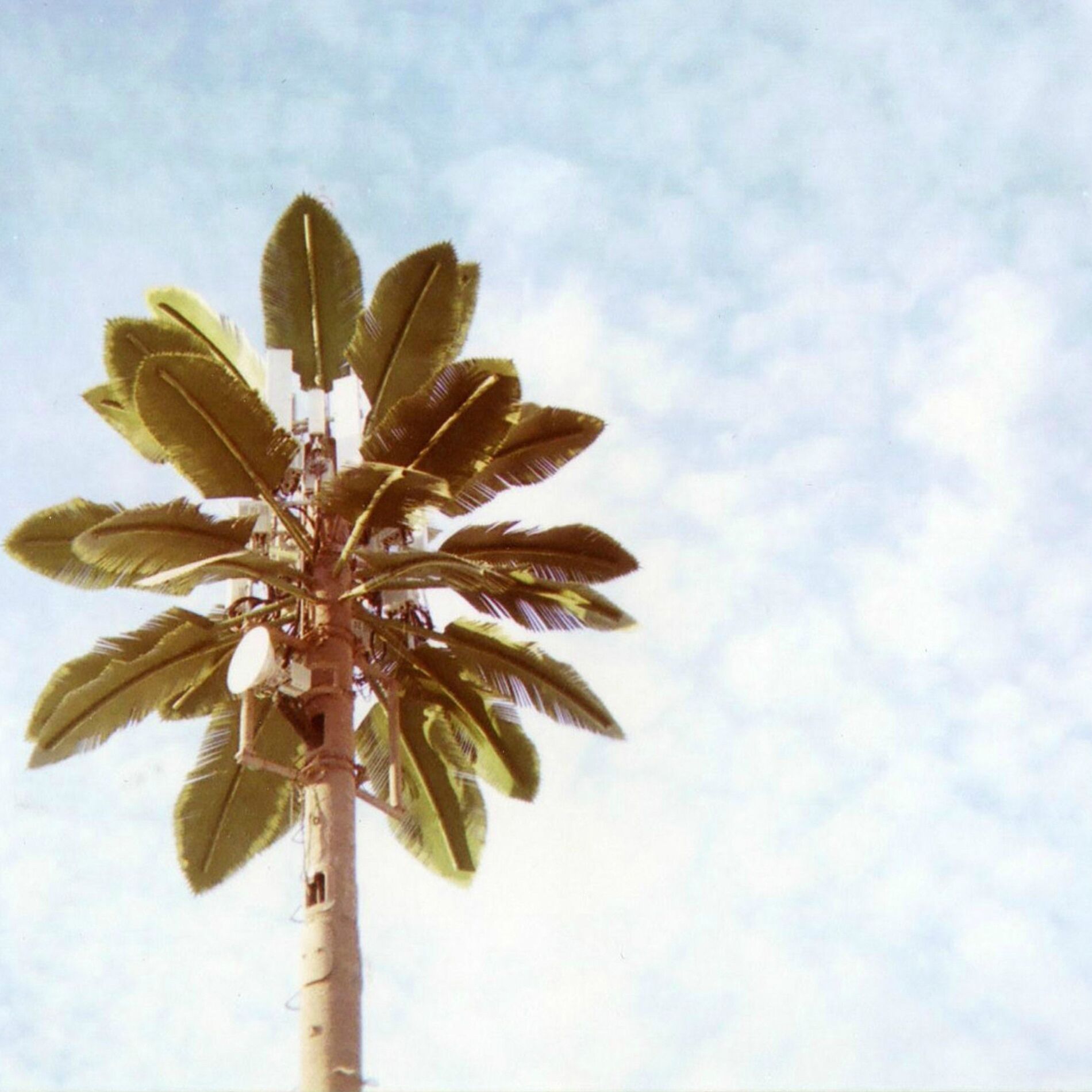 Album cover of Temporada