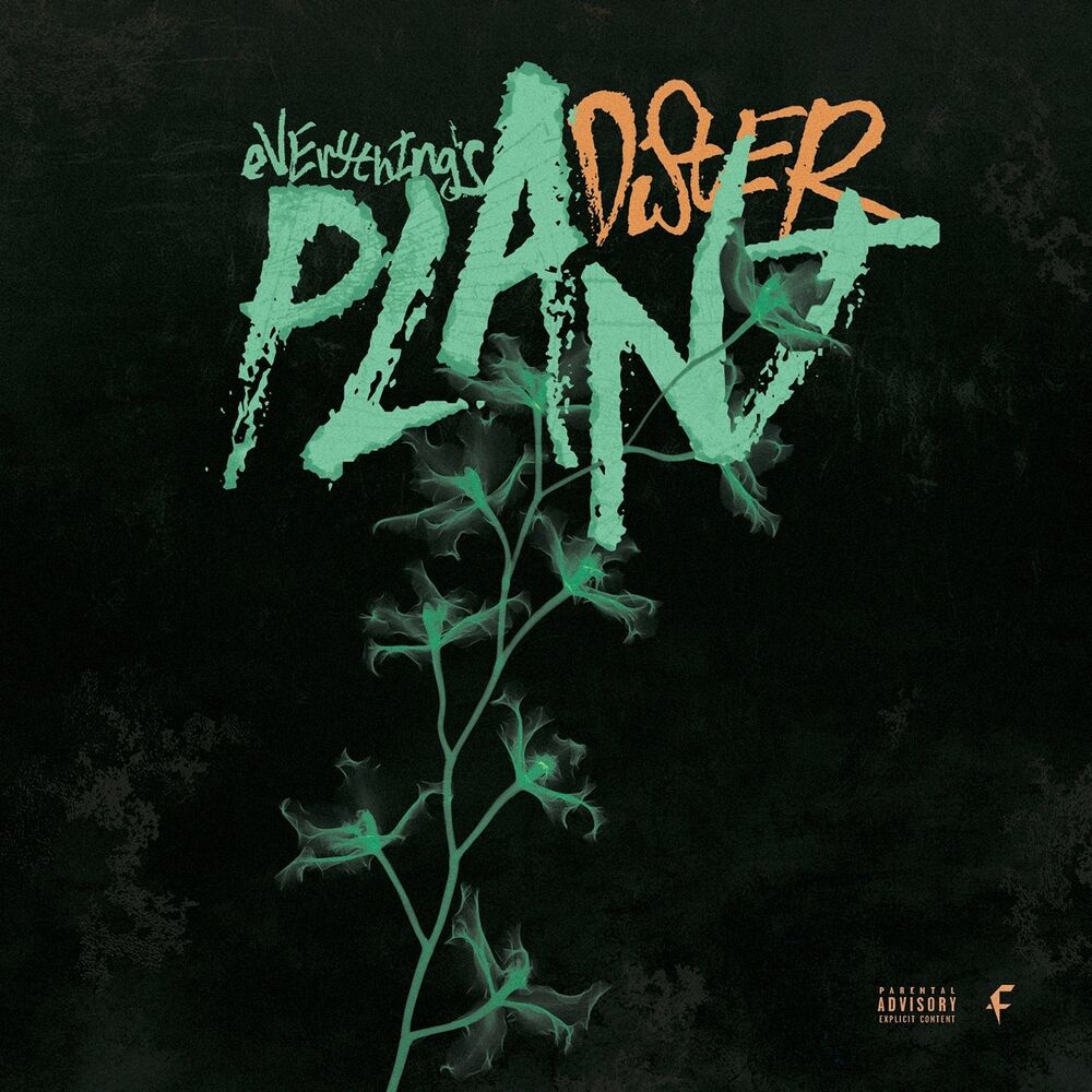 Picture of Plant