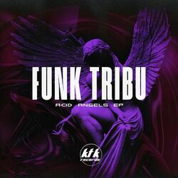 Cover of Acid Angels