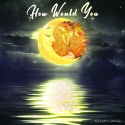 Cover of How Would You