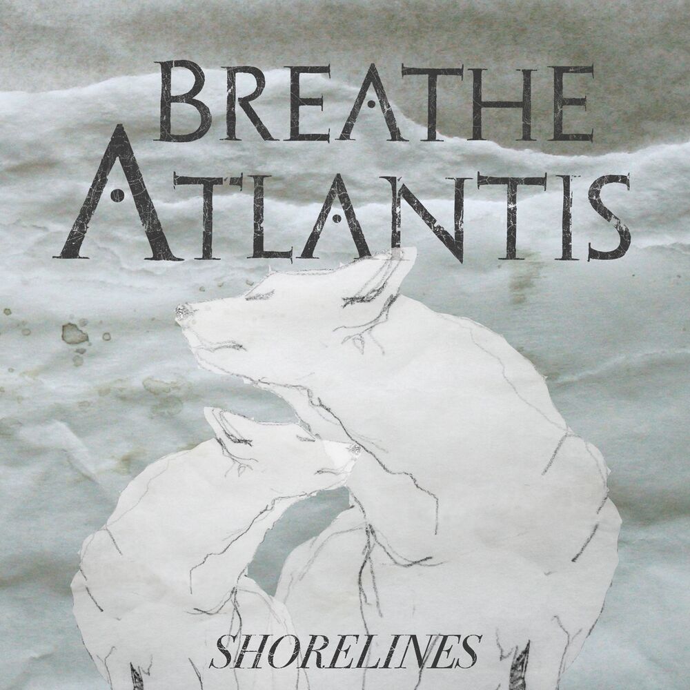Picture of Shorelines