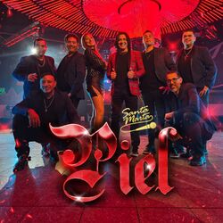 Cover of Piel