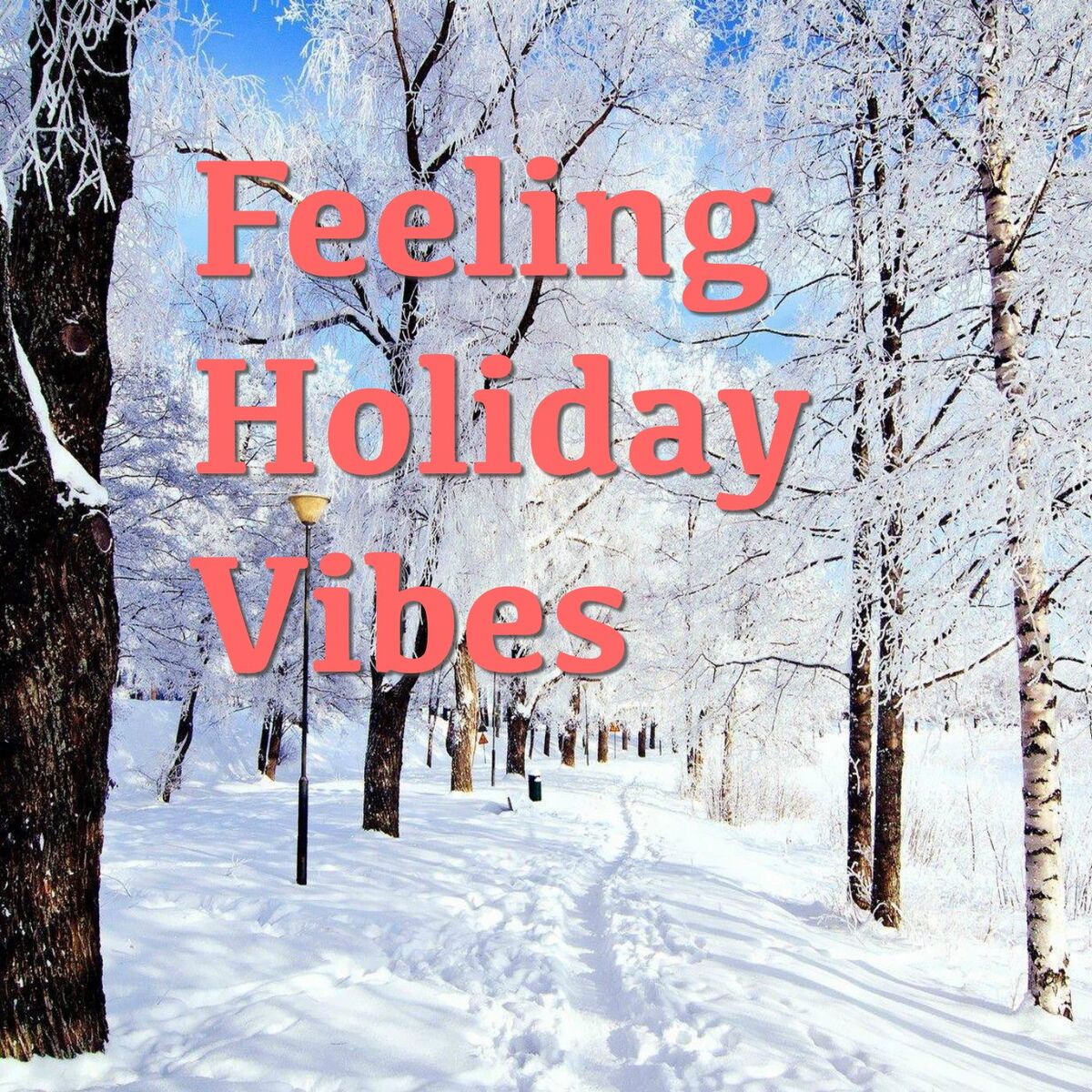 Album cover of Feeling Holiday Vibes