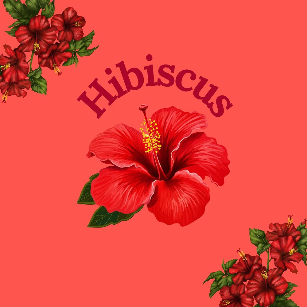 Picture of Hibiscus