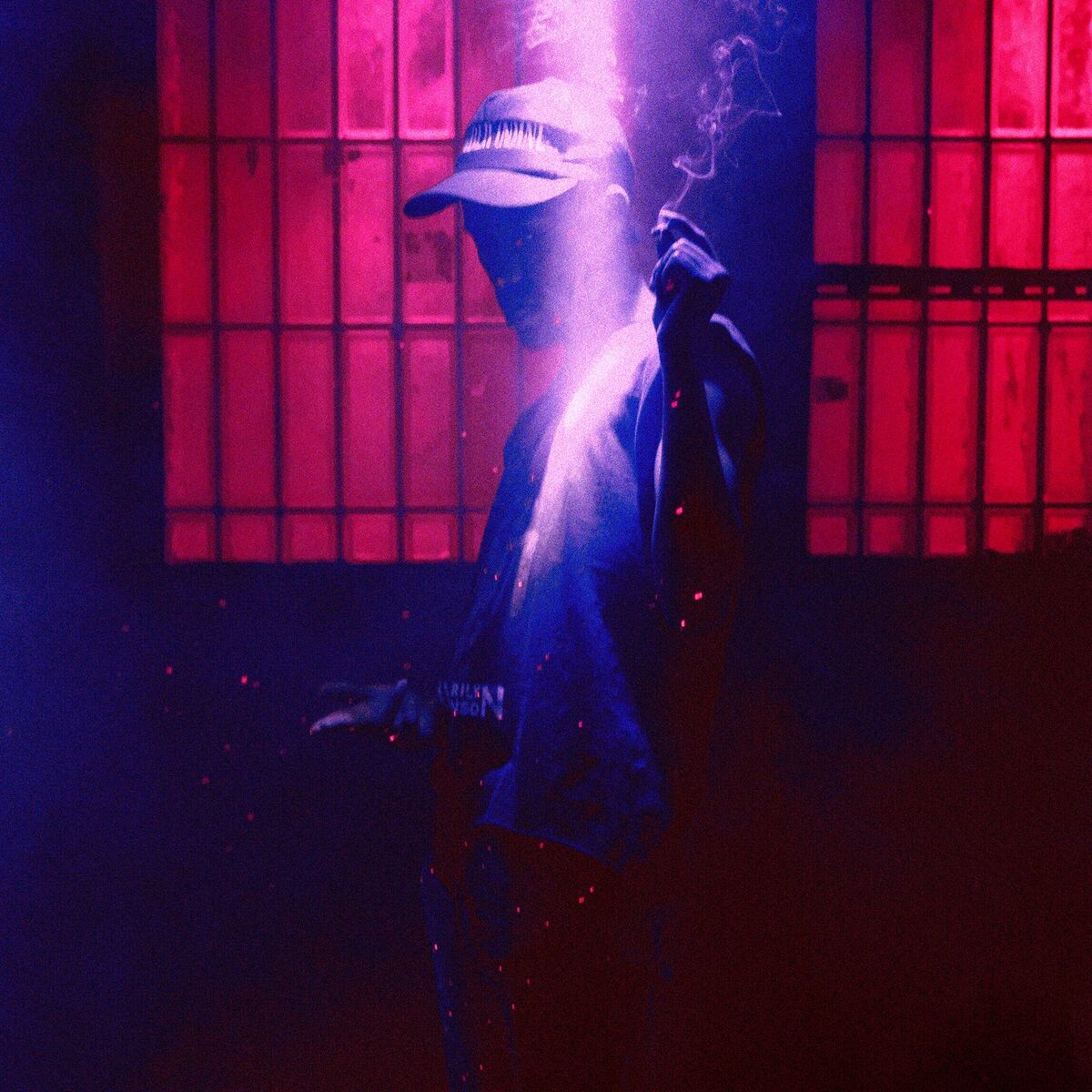 Album cover of Alice D