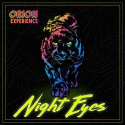Cover of Night Eyes