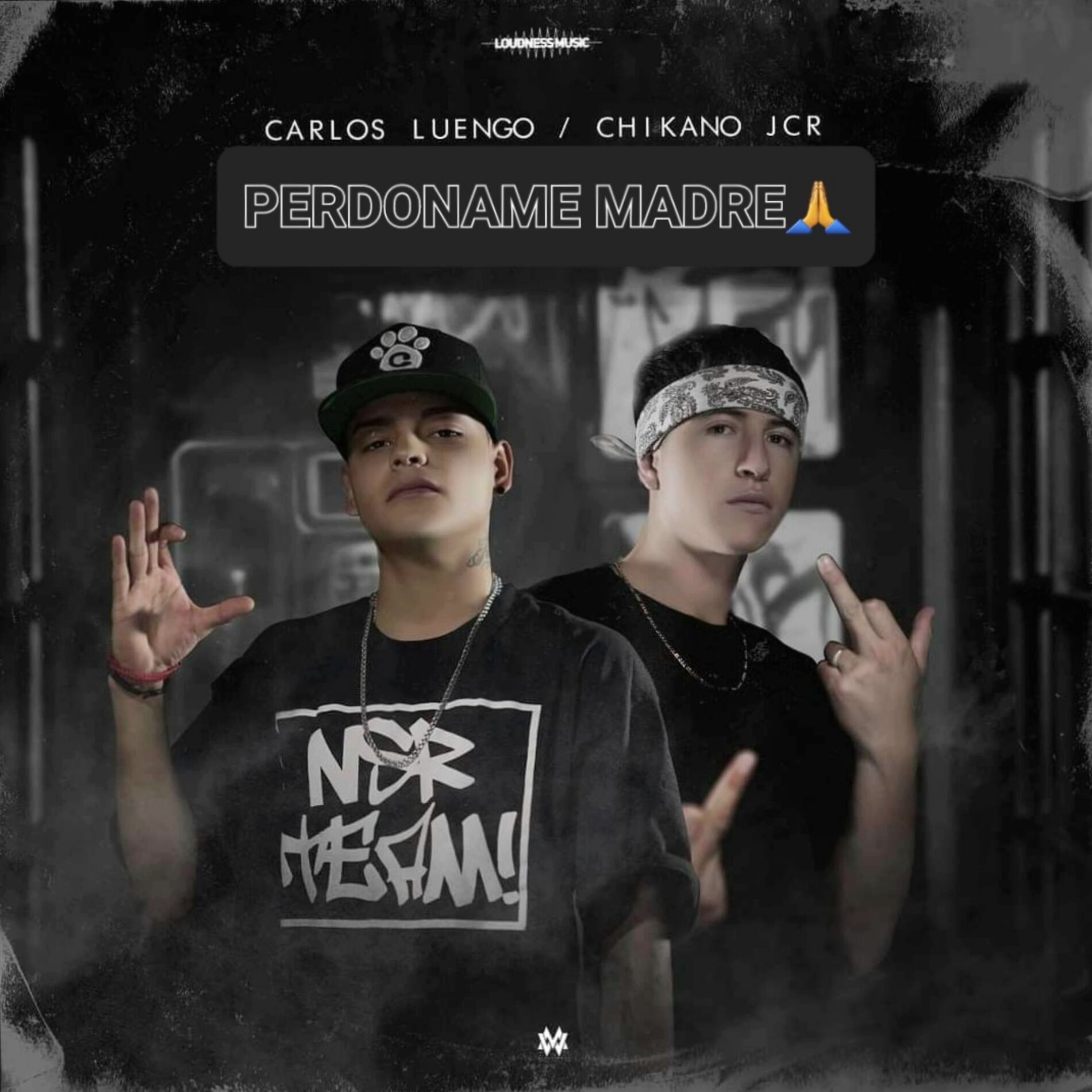 Album cover of Perdoname Madre