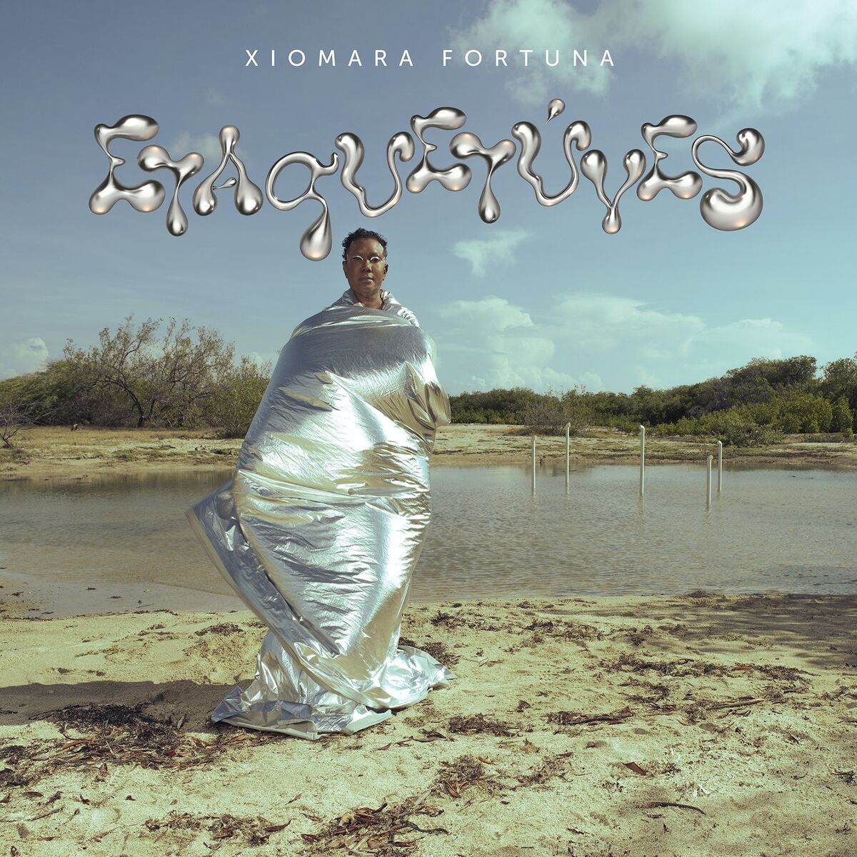 Album cover of ETAQUETÚVES