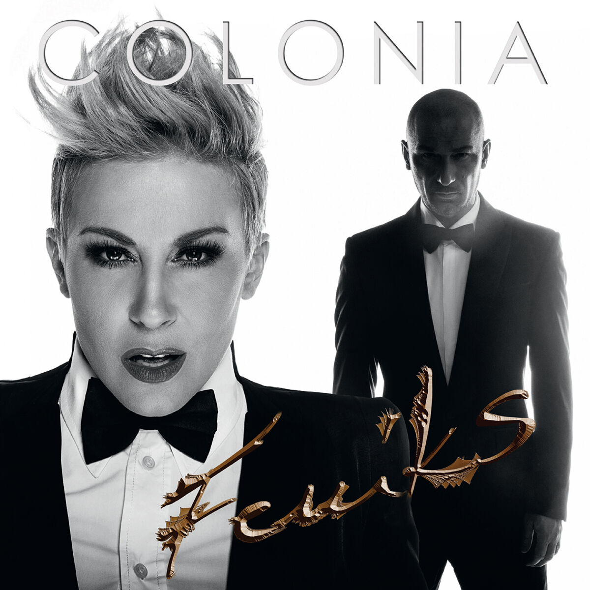 Album cover of FENIKS