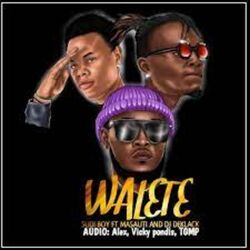 Cover of Walete