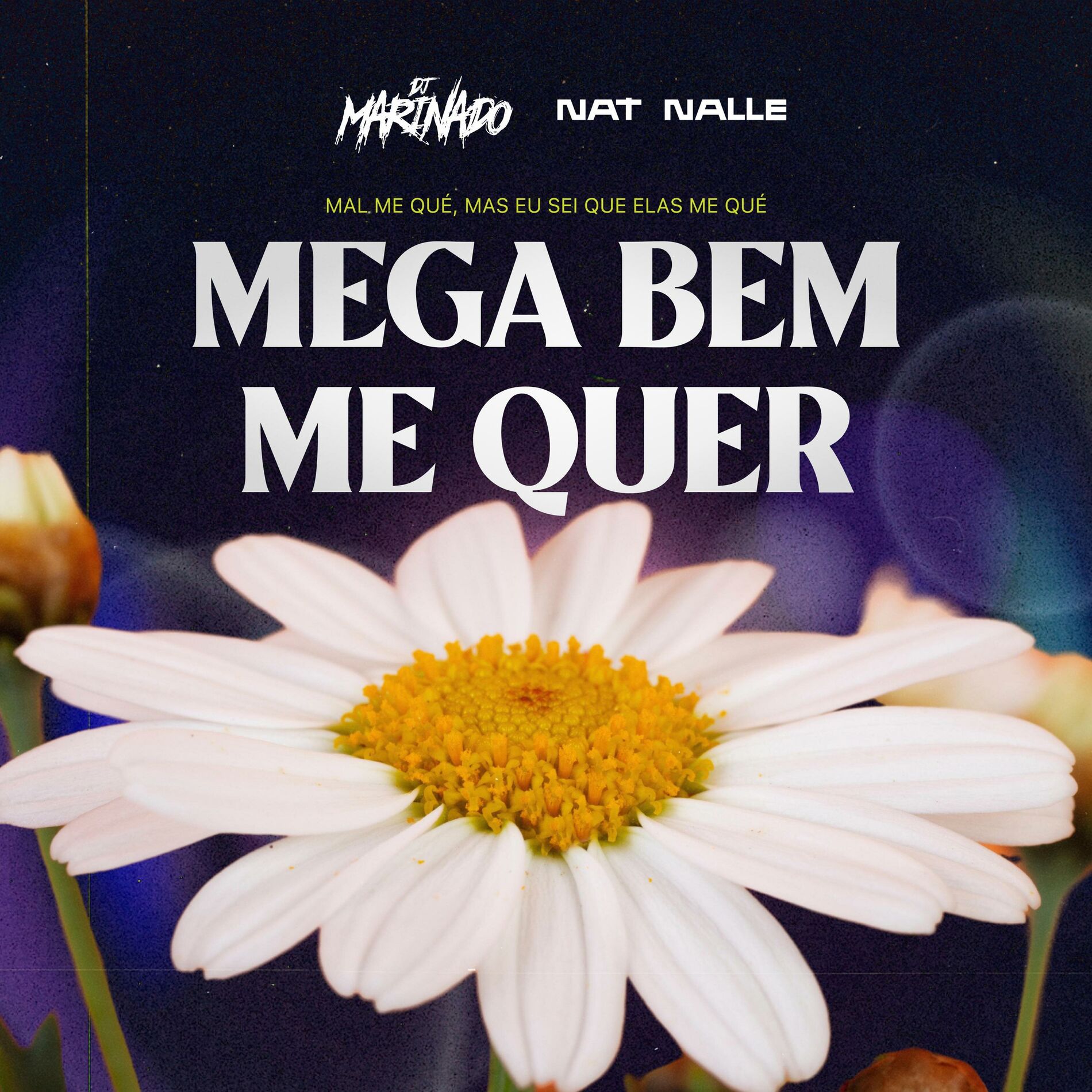 Album cover of MEGA BEM ME QUER