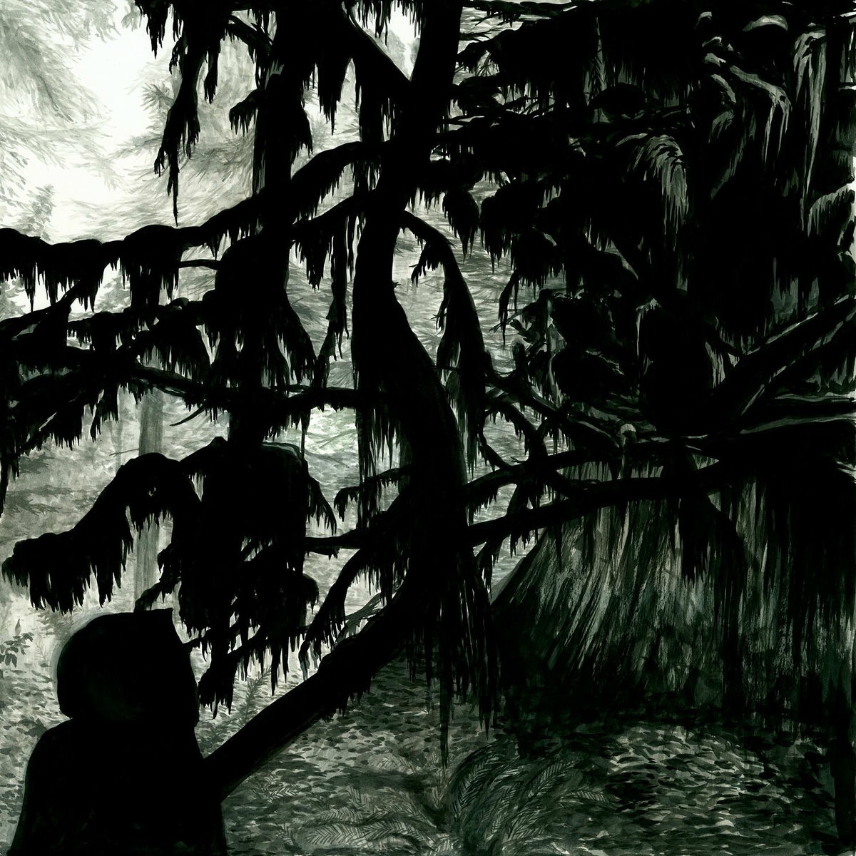 Album cover of Black Wooden Ceiling Opening