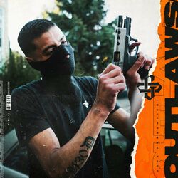 Cover of Outlaws