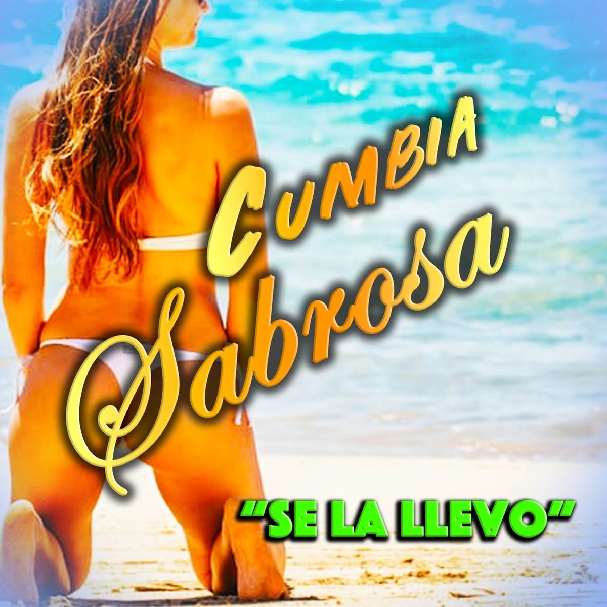 Album cover of Se La Llevo