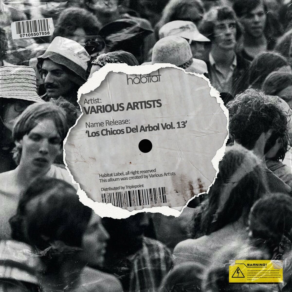 Album cover of Los Chicos Del Arbol Vol. 13