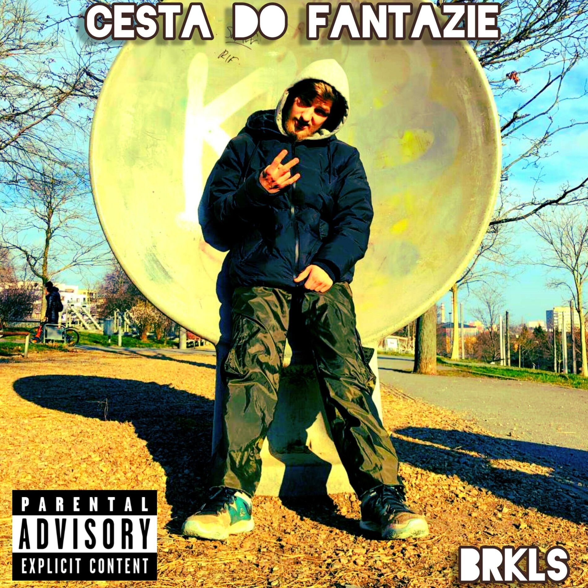 Album cover of Cesta do Fantazie