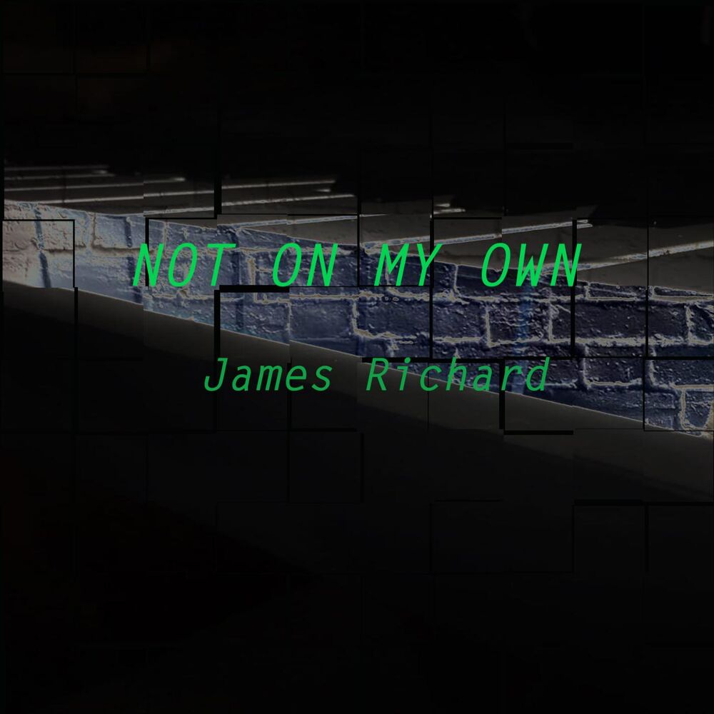 Picture of Not on My Own