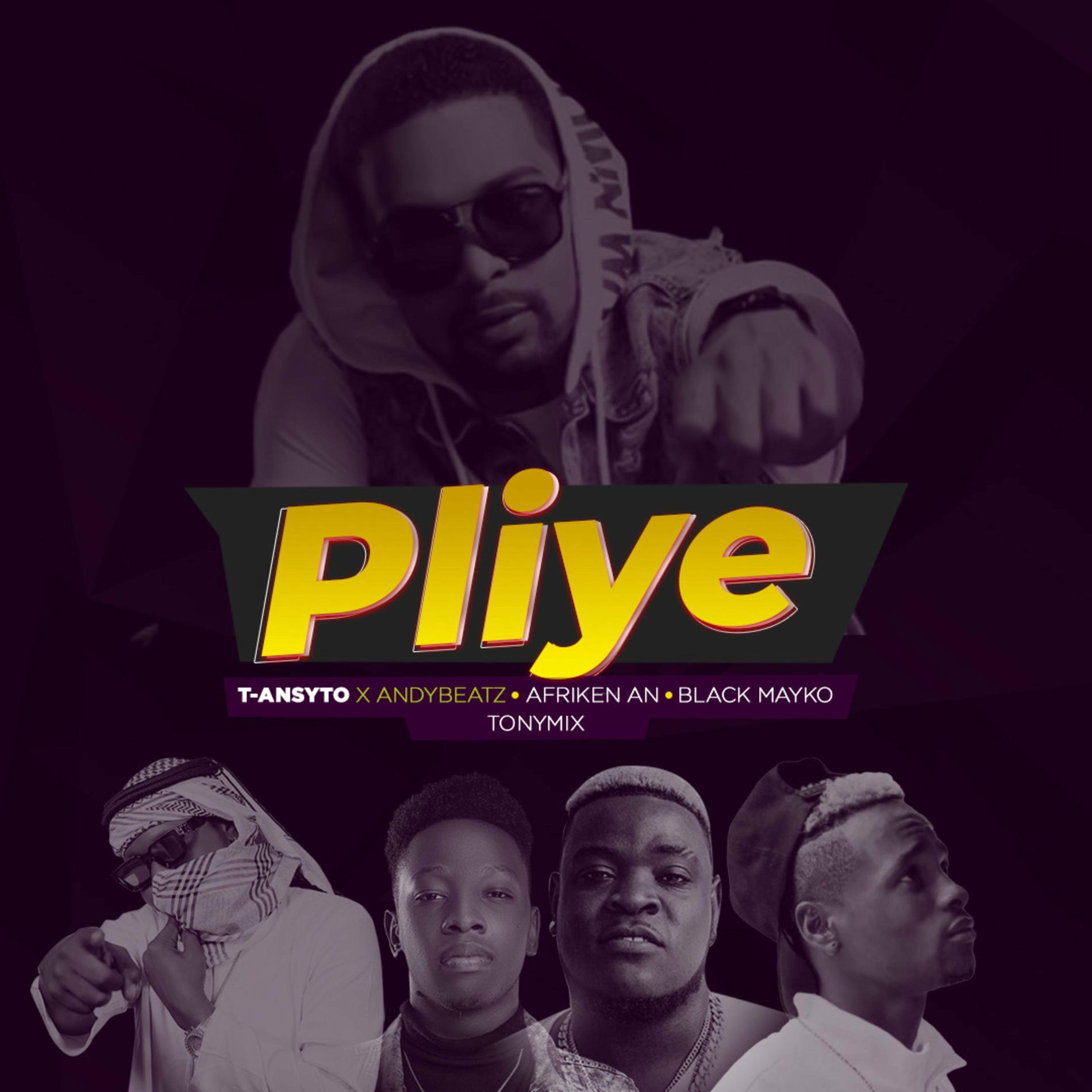Album cover of Pliye