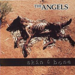 Cover of Skin And Bone