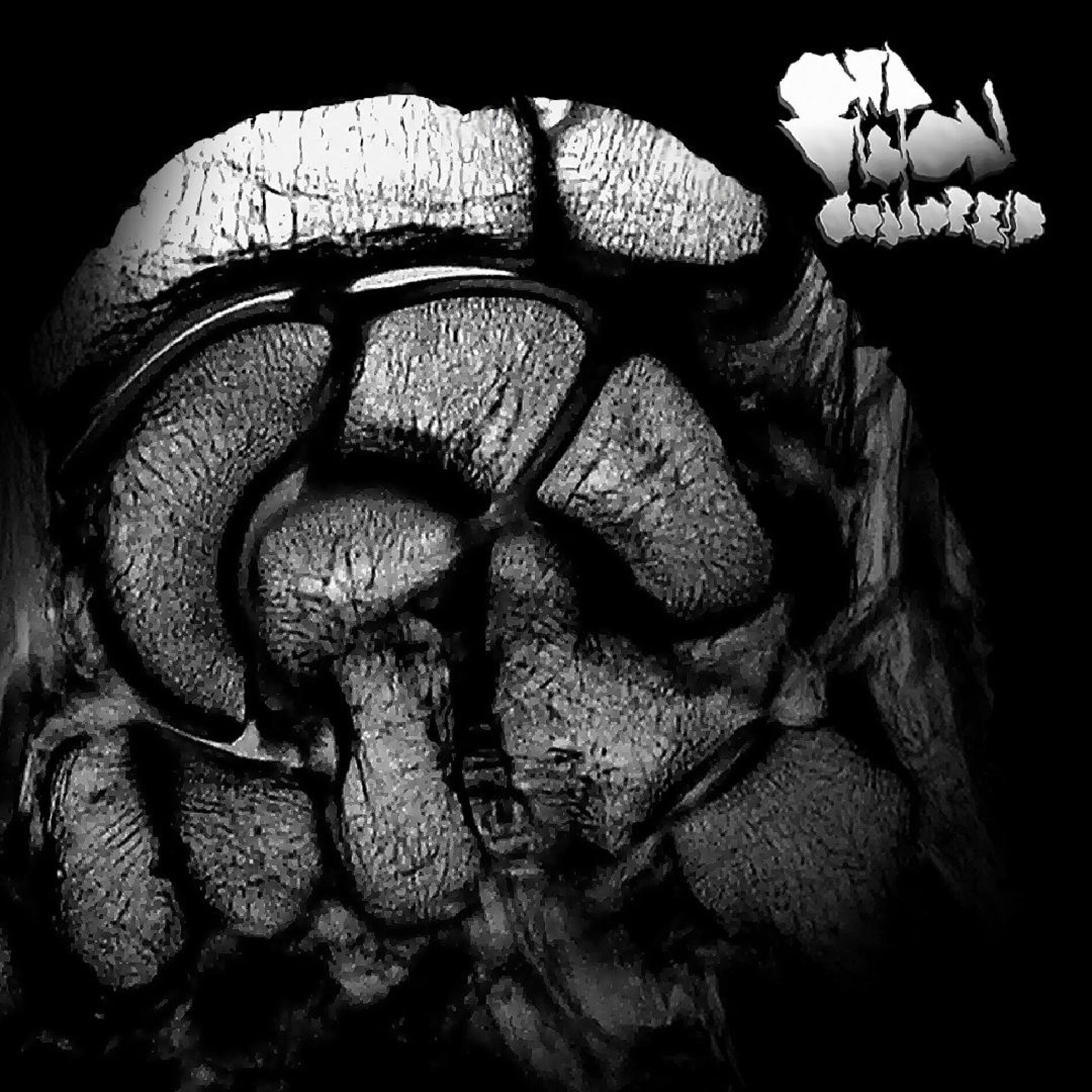 Album cover of Comorbid