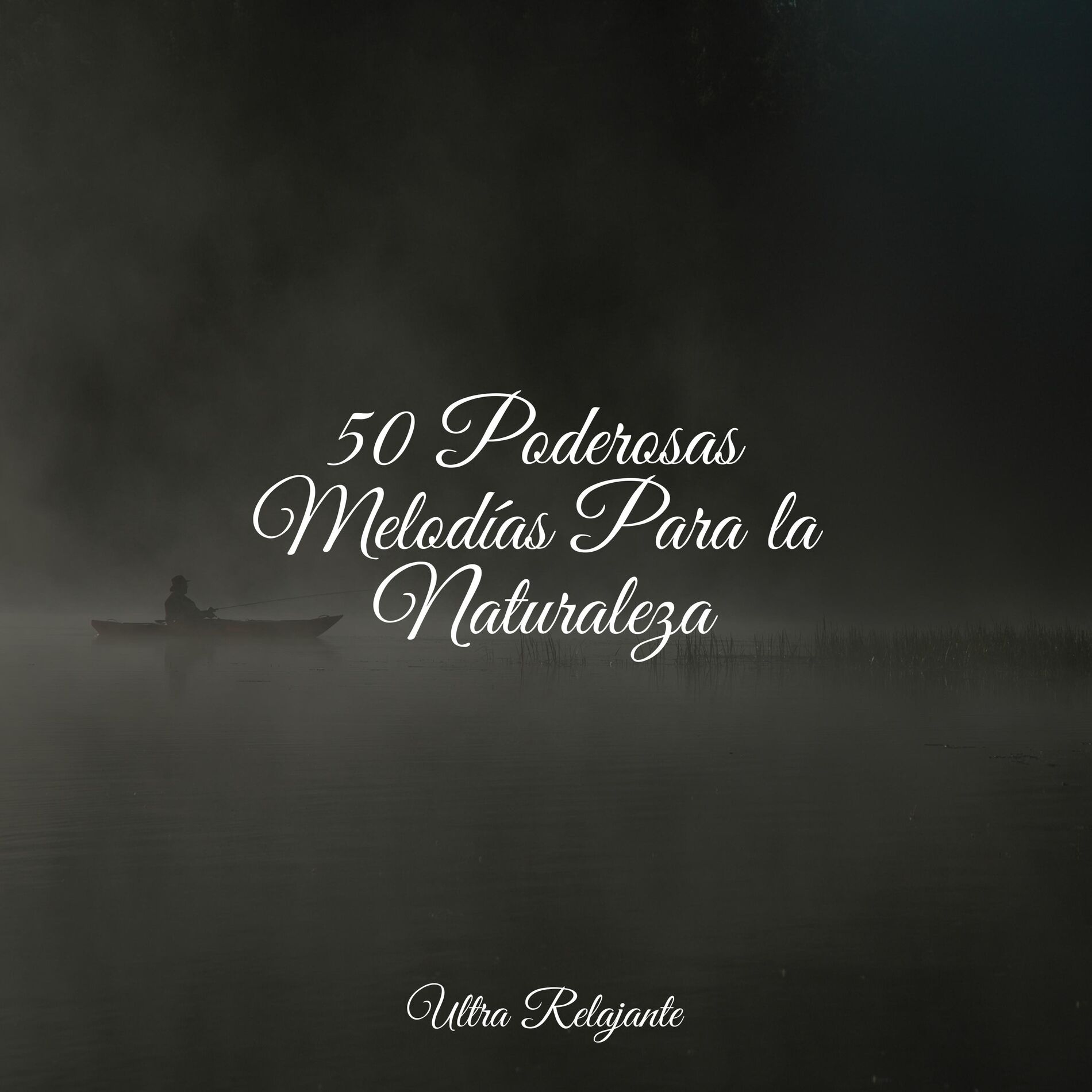 Album cover of 50 Poderosas Melodías Para la Naturaleza
