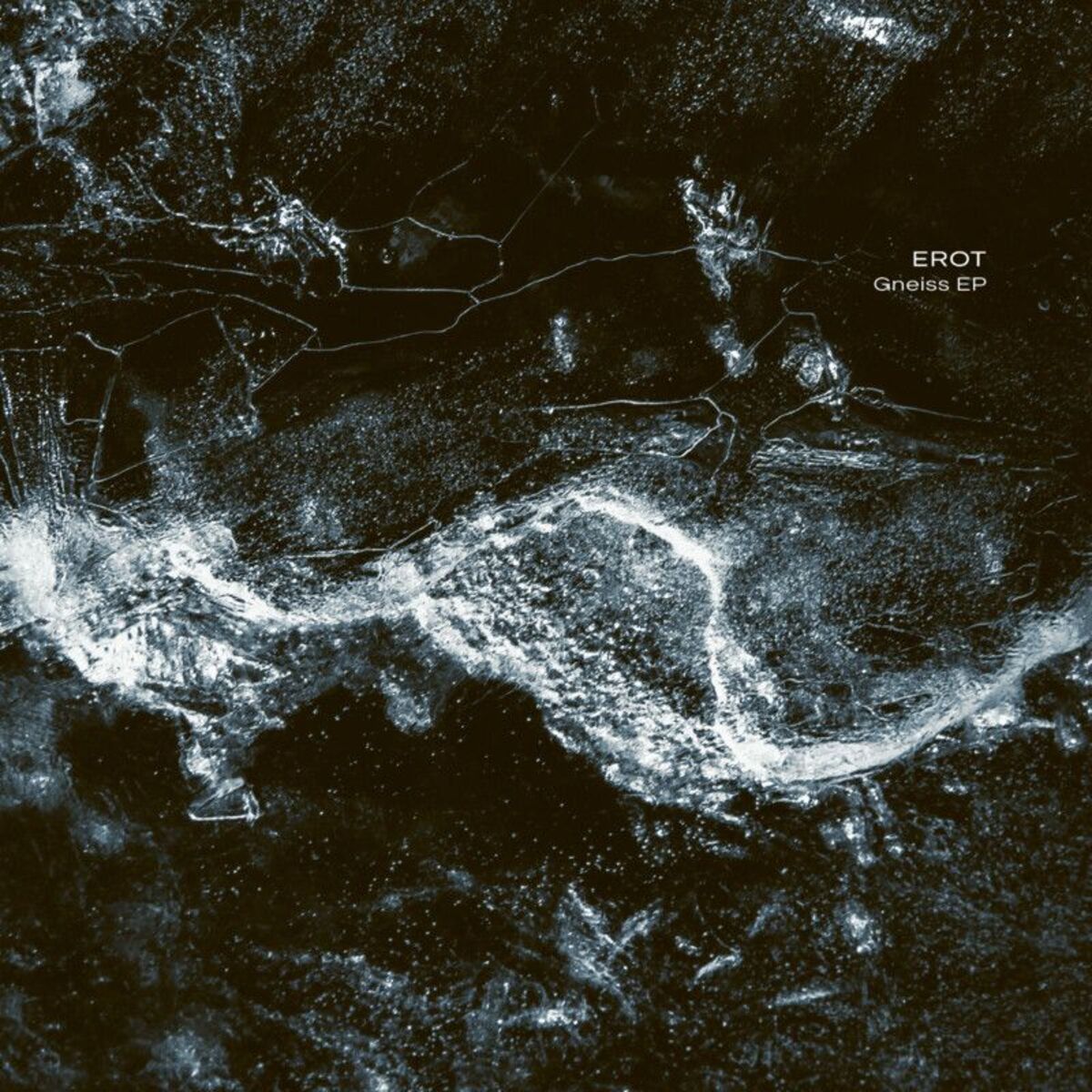 Album cover of Gneiss