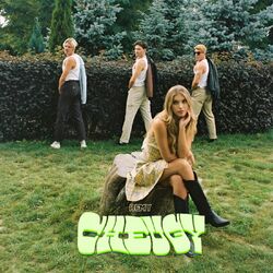 Cover of Cheugy