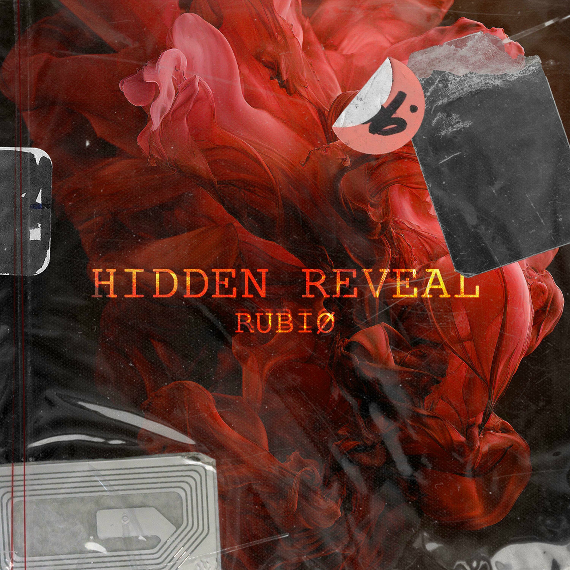 Album cover of HIDDEN REVEAL