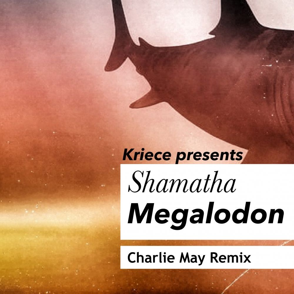 Picture of Megalodon (Charlie May Remix)