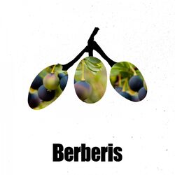 Cover of Cinitaci EP