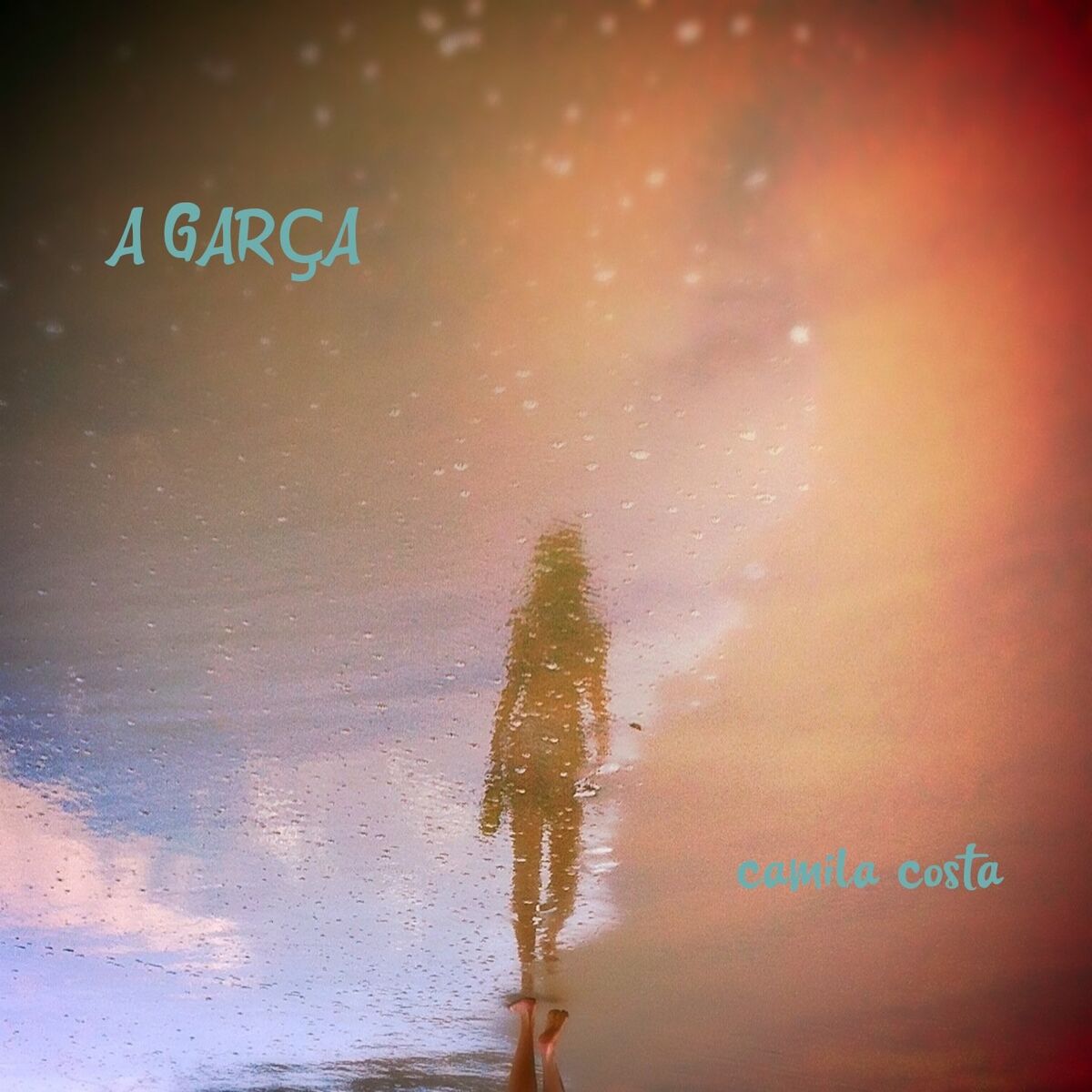 Album cover of A Garça