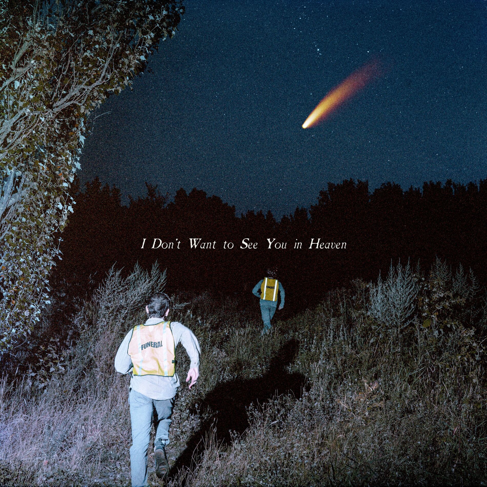 Album cover of I Don’t Want to See You in Heaven