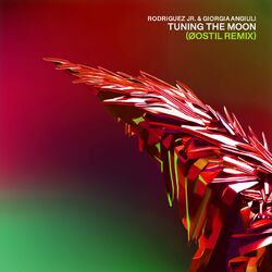 Cover of Tuning The Moon (Øostil Remix)