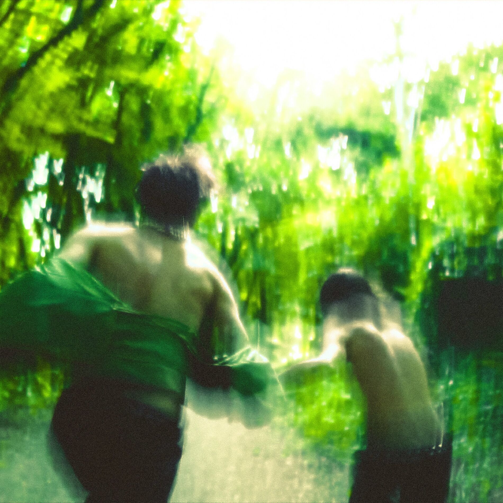 Album cover of SURFING