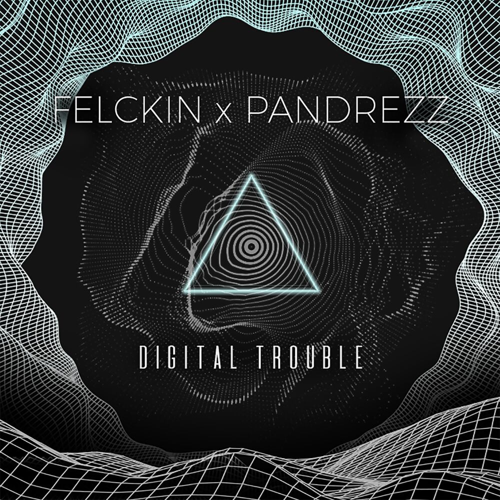 Picture of Digital Trouble