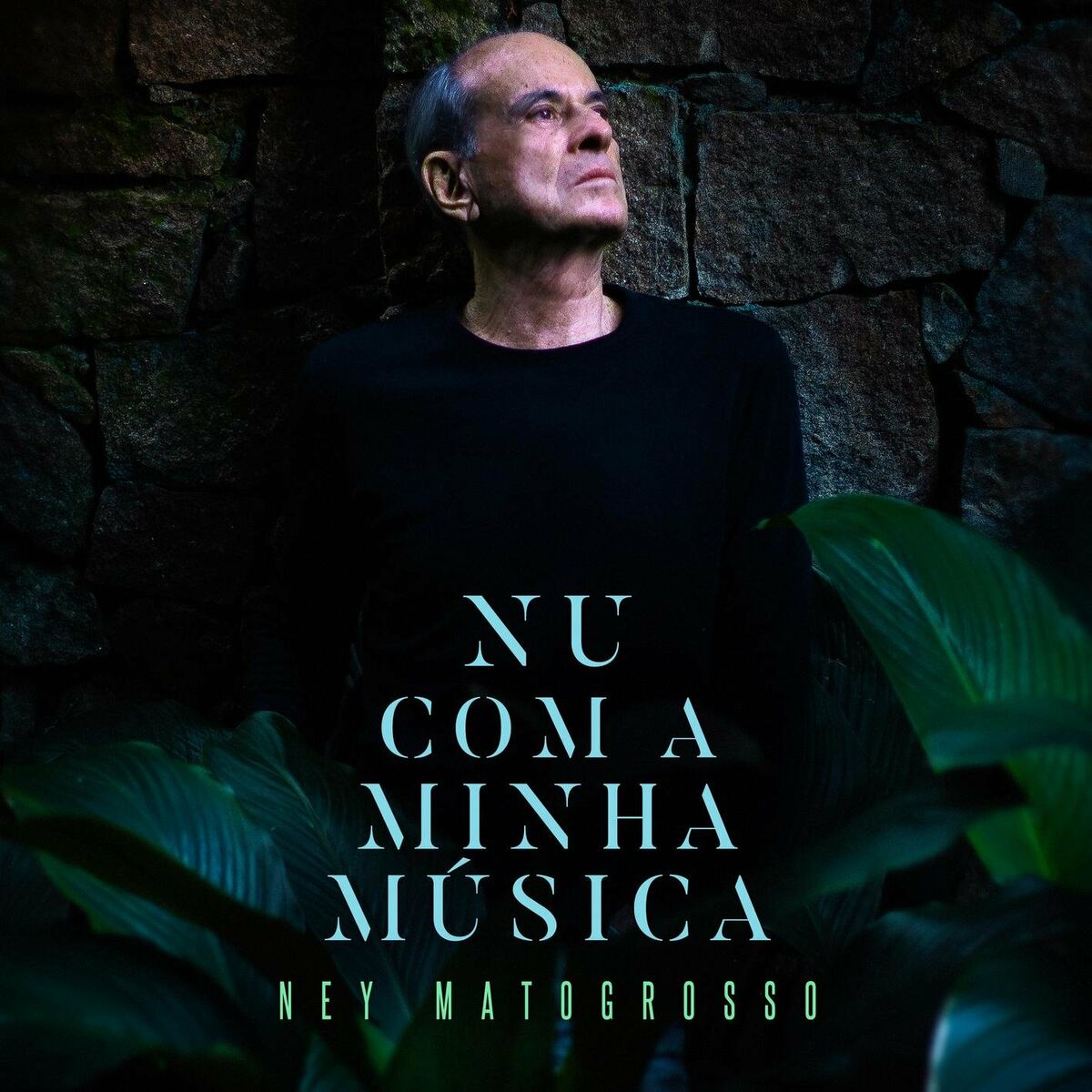 Album cover of Nu Com a Minha Música