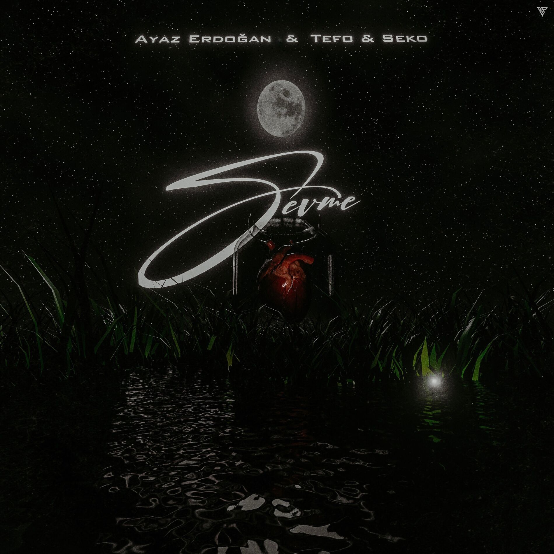 Album cover of Sevme