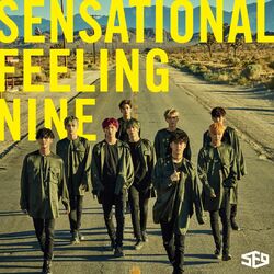 Cover of Sensational Feeling Nine