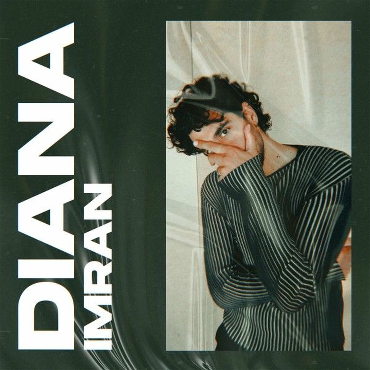 Album cover of Diana