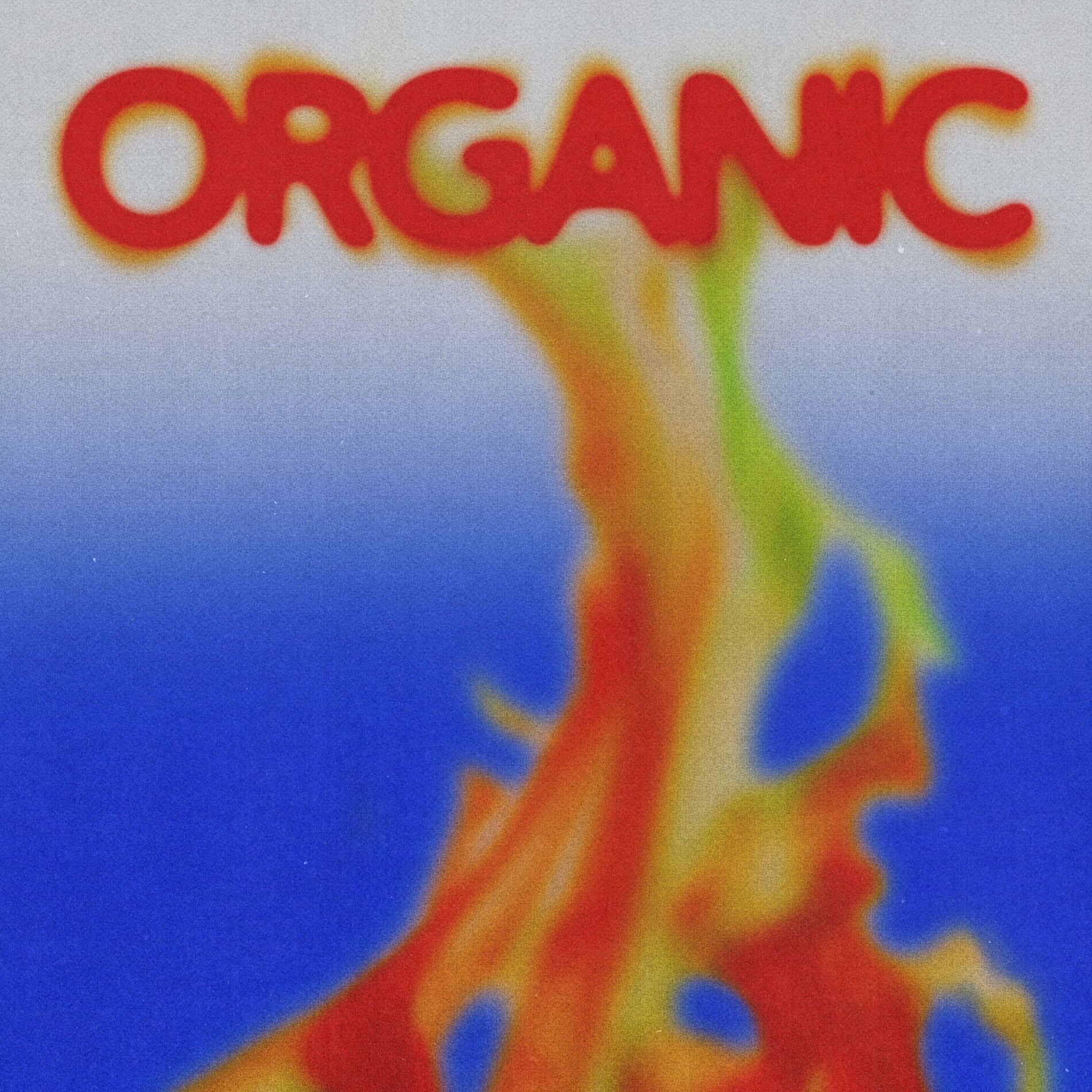 Album cover of BOLO (feat. YDG)